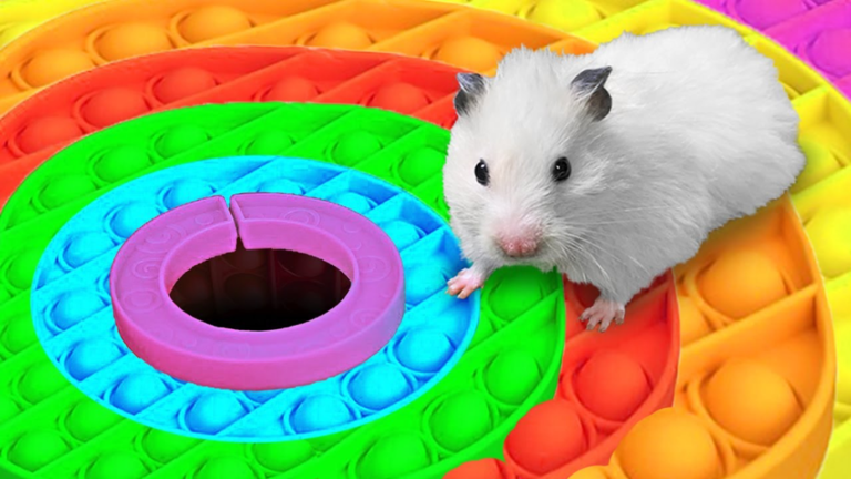 Teamwork Puzzles 4 (Obby)