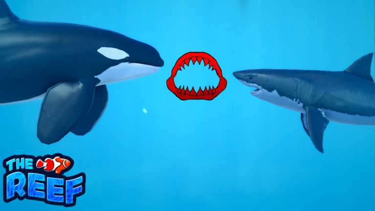 🐬THE REEF🦈 - Shark, Fish, Dolphin RP - Roblox Strategy Hub: Stats, Videos & Power Tips